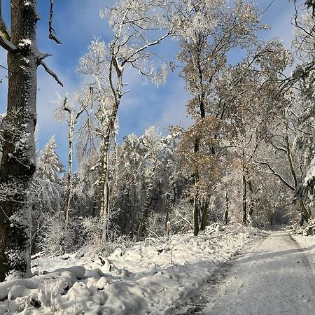 Haus Astenblick In Winterberg Fuer Bis Zu 35 Personen Fuer Wanderveranstaltungen Und Familienfeiern Exteriér fotografie