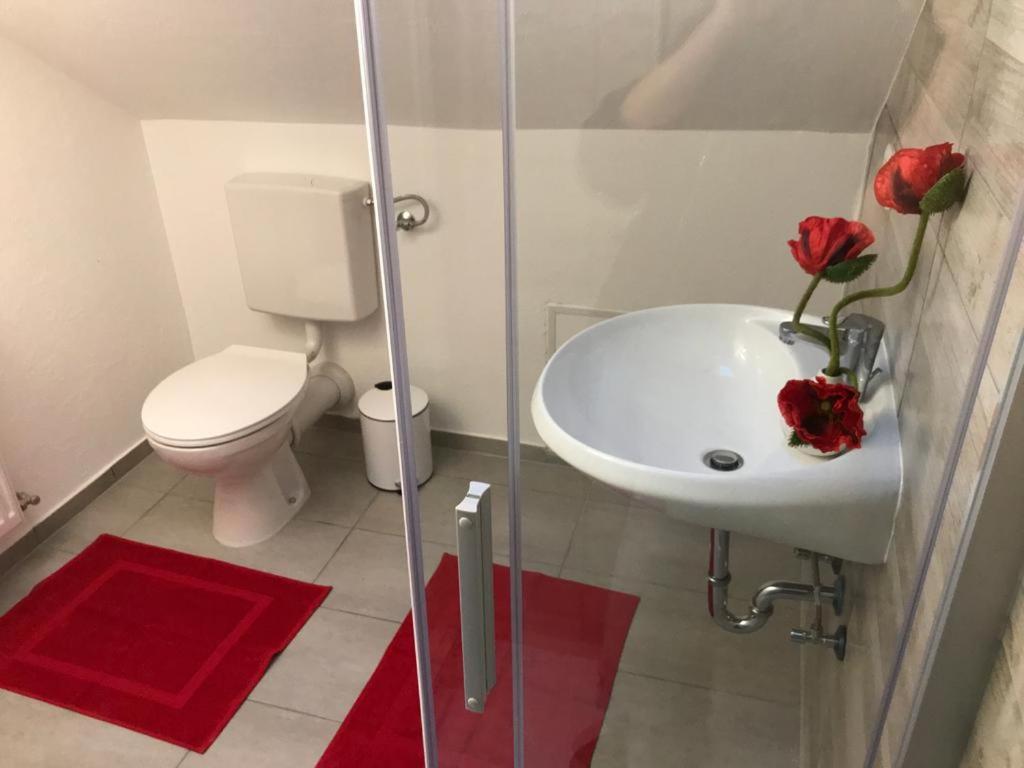 Haus Astenblick In Winterberg Fuer Bis Zu 35 Personen Fuer Wanderveranstaltungen Und Familienfeiern Exteriér fotografie