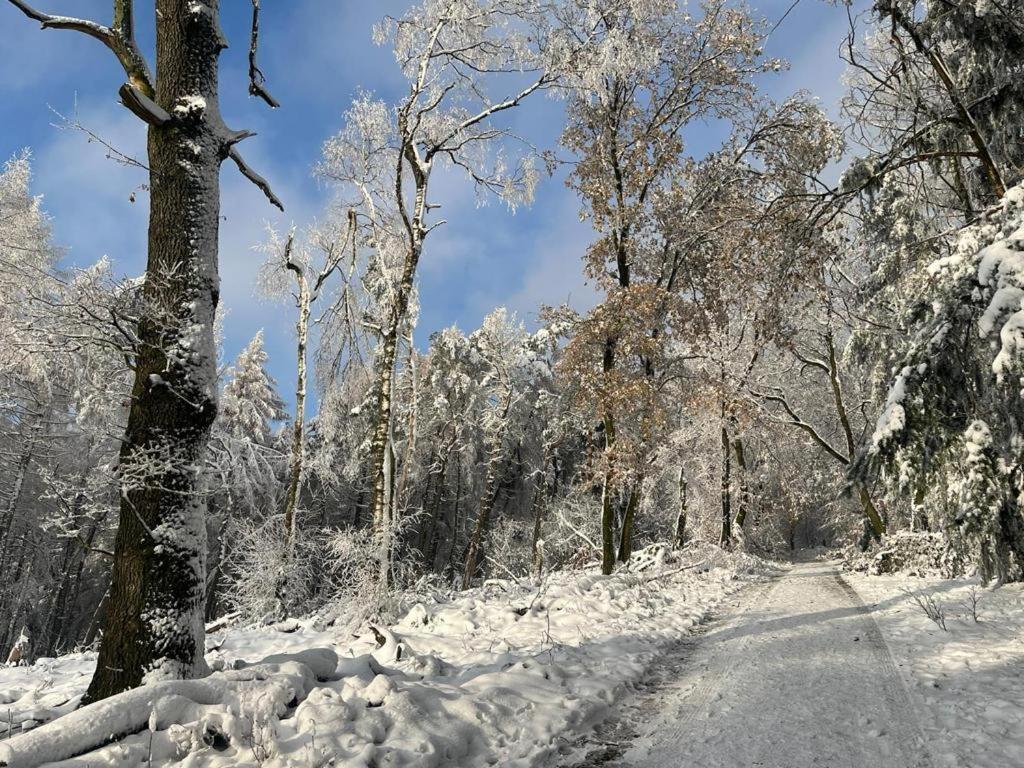 Haus Astenblick In Winterberg Fuer Bis Zu 35 Personen Fuer Wanderveranstaltungen Und Familienfeiern Exteriér fotografie